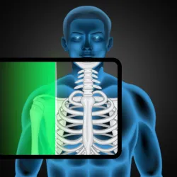 XWorld | x ray scan v4.0 рентген