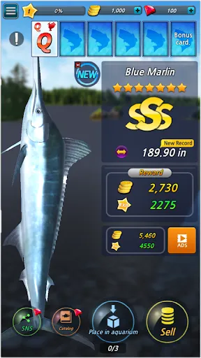 Fishing Season :River To Ocean | Games | XWorld