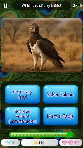 Guess the Animal: Quiz Game | Games | XWorld Guess the Animal: Quiz Game | Games | XWorld