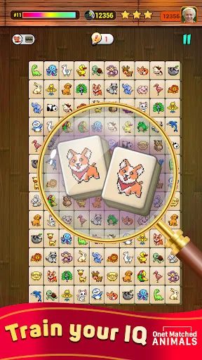 Onet X Connect Matched Animal | เกม | XWorld