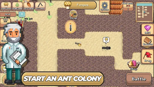Pocket Ants: Colony Simulator | Games | XWorld Pocket Ants: Colony Simulator | Games | XWorld