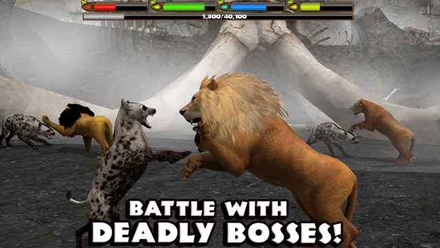 Ultimate Lion Simulator | Игры | XWorld
