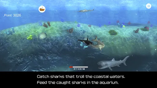 Orca  and marine mammals | Permainan | XWorld