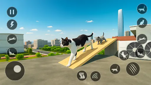 Permainan simulator kucing | Permainan | XWorld