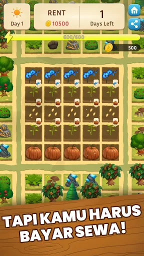 Handy Farm: Roguelike | Permainan | XWorld