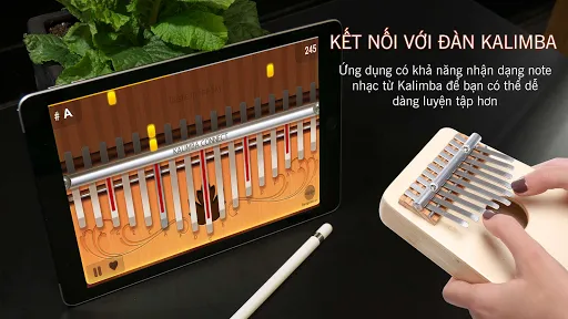 Kalimba Connect | 游戏 | XWorld