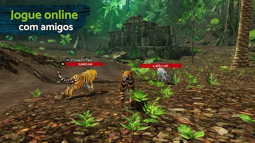 The Tiger | Jogos | XWorld