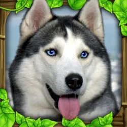 XWorld | Stray Dog Simulator