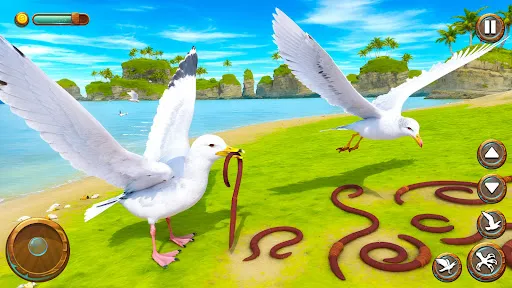 เกมจำลองชีวิตนกนางนวล | เกม | XWorld