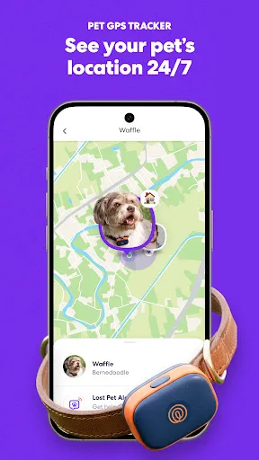 Life360: Stay Connected & Safe | Games | XWorld