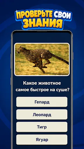Guess The Answer: Викторина | Игры | XWorld