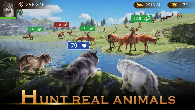 Wolf Game: Wild Animal Wars | Games | XWorld