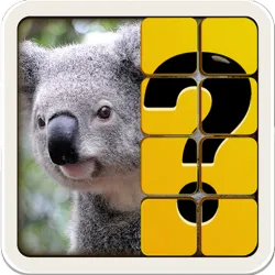 XWorld | Guess The Picture