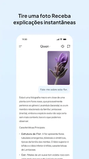 Qwen - Assistente IA Alibaba | Jogos | XWorld