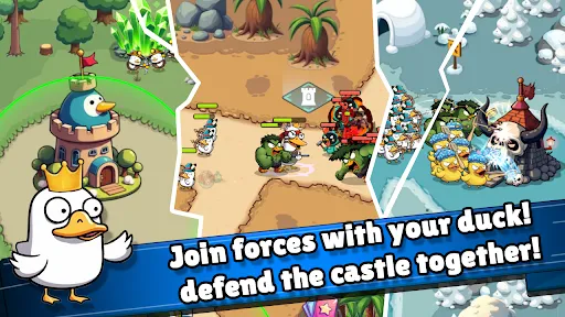 What Duck : Defense | เกม | XWorld