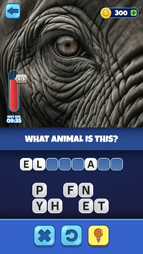 Trivia AI - Guess the Words | 游戏 | XWorld