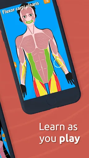 Human Anatomy - Body parts | Permainan | XWorld