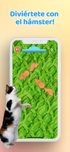 Juego para Gatos－Raton y Peces | juego | XWorld