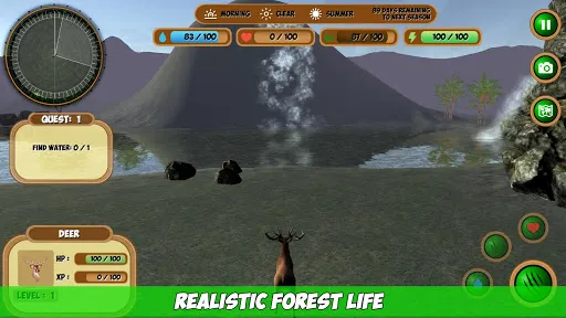 Forest Animals Simulator | Jogos | XWorld
