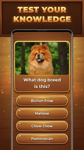 Wood Quiz Blast: Trivia Blocks | Permainan | XWorld Wood Quiz Blast: Trivia Blocks | Permainan | XWorld