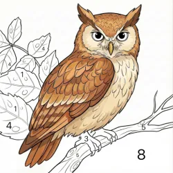 XWorld | Easy Coloring