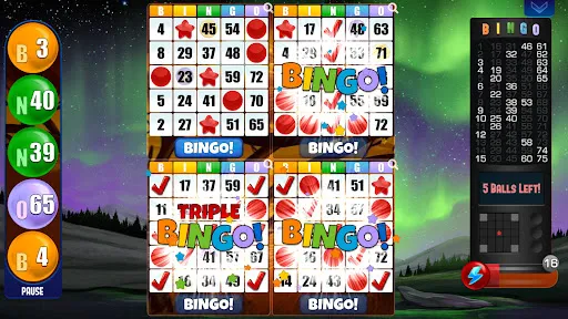 Absolute Bingo | Games | XWorld Absolute Bingo | Games | XWorld