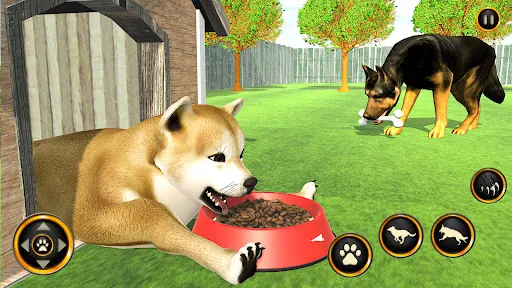 anjingkehidupan Simulator 3d | Permainan | XWorld