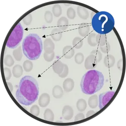 XWorld | HematoQuiz Quiz de Hematología