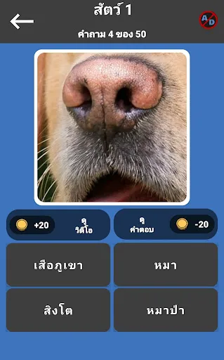 GuessPho Pics แบบทดสอบภาษาไทย | เกม | XWorld