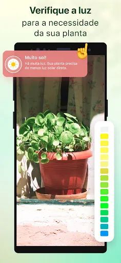 Plant Parent-Guia de Cuidados | Jogos | XWorld
