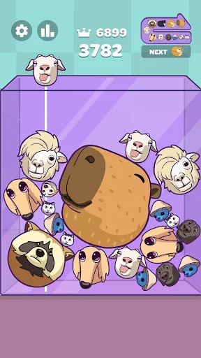 Meme Merge: Drop Puzzle | 游戏 | XWorld