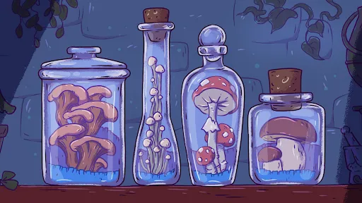 Irmãs Bruxas: Ache e Ordene | Jogos | XWorld