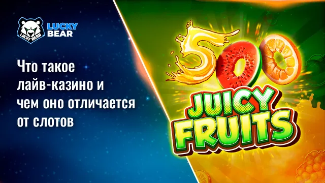Что такое лайв-казино и чем оно отличается от слотов