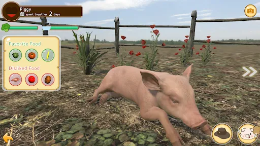 Piglet | Игры | XWorld