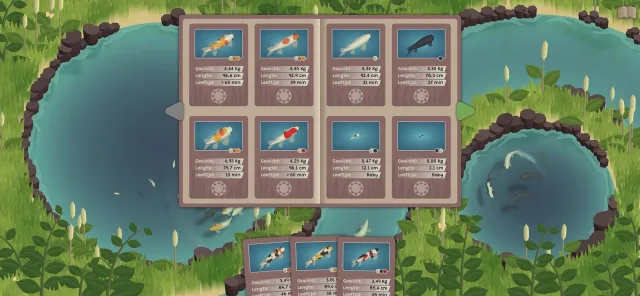 Koi Farm | Games | XWorld
