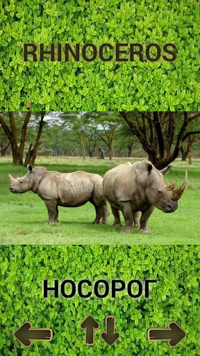 ZOO sounds quiz | juego | XWorld