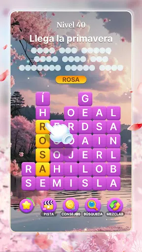 Sopa de Letras Zen | juego | XWorld