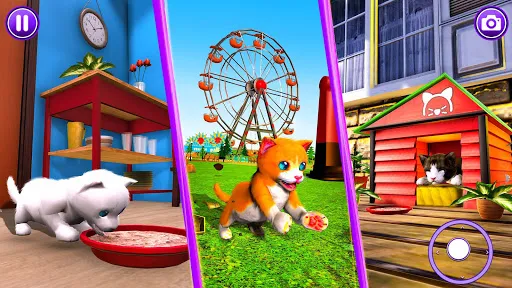 Pet Cat Simulator Cat Games | Games | XWorld