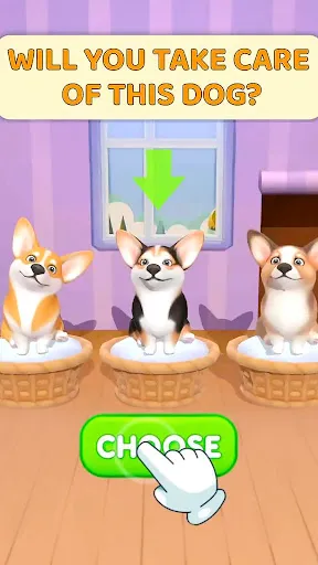 ZenCorgi: Puppy Pet Dog Games | Games | XWorld