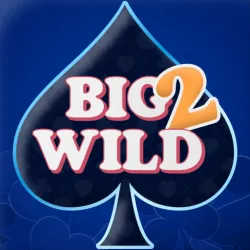 XWorld | Big 2 Wild - Card Game