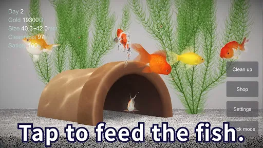 Goldfish 3D Relaxing Aquarium | Games | XWorld Goldfish 3D Relaxing Aquarium | Games | XWorld