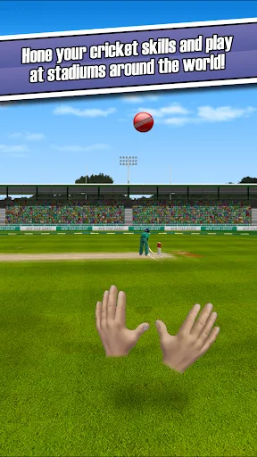 New Star™ Cricket | Games | XWorld New Star™ Cricket | Games | XWorld