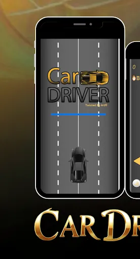 Car Driver | Permainan | XWorld