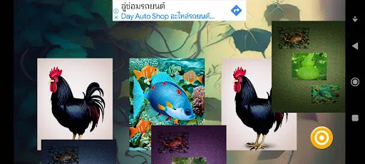 น้ำเต้าปูปลา'23 | เกม | XWorld