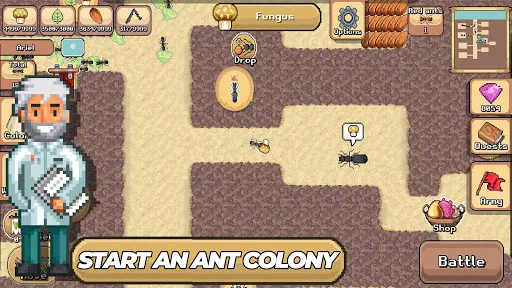 Pocket Ants: Colony Simulator | Games | XWorld