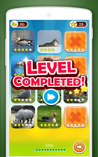 Trò chơi cào: đố động vật | Games | XWorld Trò chơi cào: đố động vật | Games | XWorld