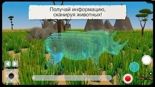 Дикие животные 3D Cафари | Игры | XWorld