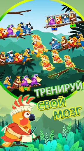 Сортировка птиц 2 | Игры | XWorld