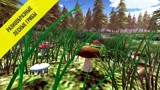 Реальный Грибник - Тихая охота | Игры | XWorld Реальный Грибник - Тихая охота | Игры | XWorld