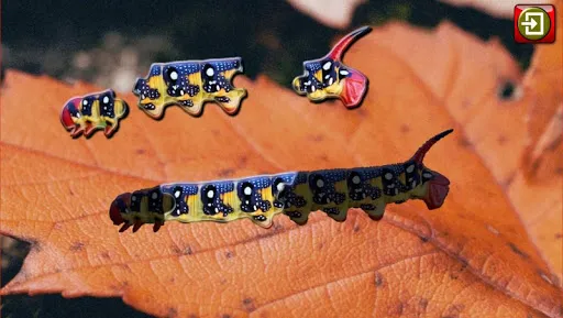 Kids Insect Jigsaw Puzzle | Games | XWorld